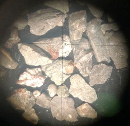 1773713005921128.jpg 1773713005921128.jpg