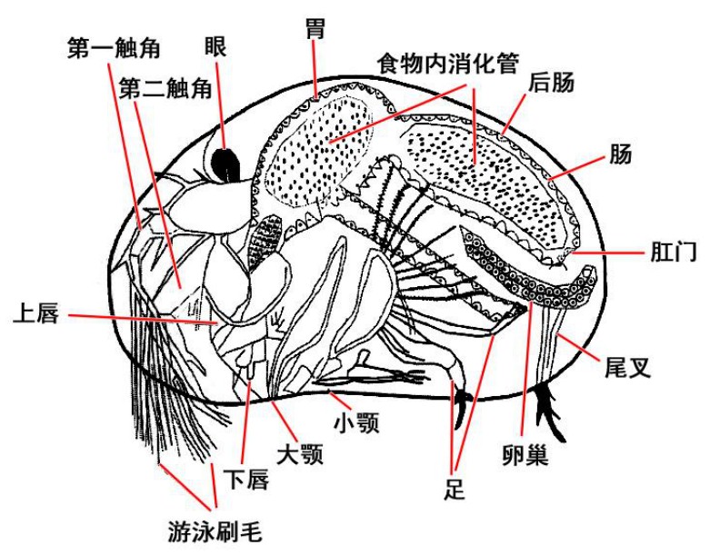 1773713239756379.jpg 1773713239756379.jpg