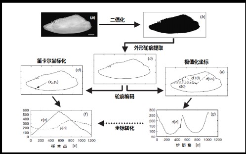1773726847953751.jpg zz-62b45591-6d4e-41a8-ad45-acb0470f1c89.jpg