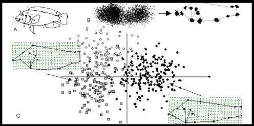 1773726863596347.jpg xxx-4d43532b-ff83-4584-a713-a11b5b7b1ea1.jpg