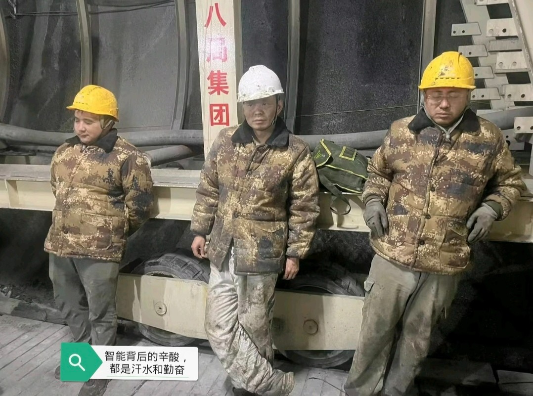 1773798848587783.jpg 1773798848587783.jpg